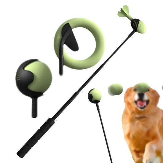 Jouets pour chiens & lanceur de balle de tennis pour animaux de compagnie