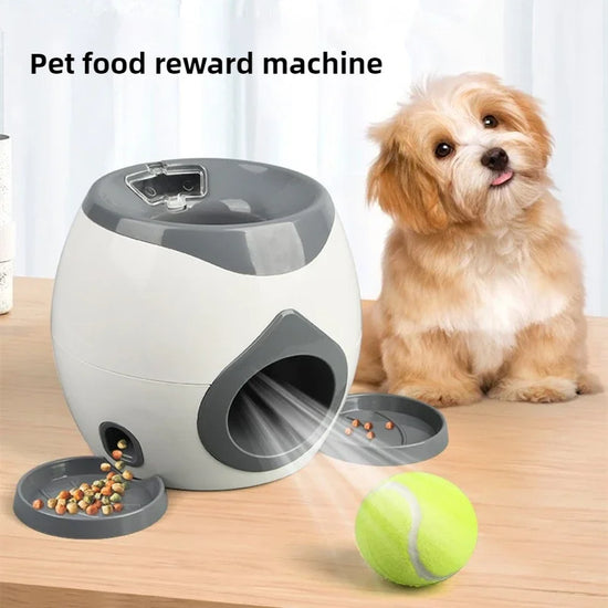 Lanceur automatique de balle de tennis pour animaux de compagnie
